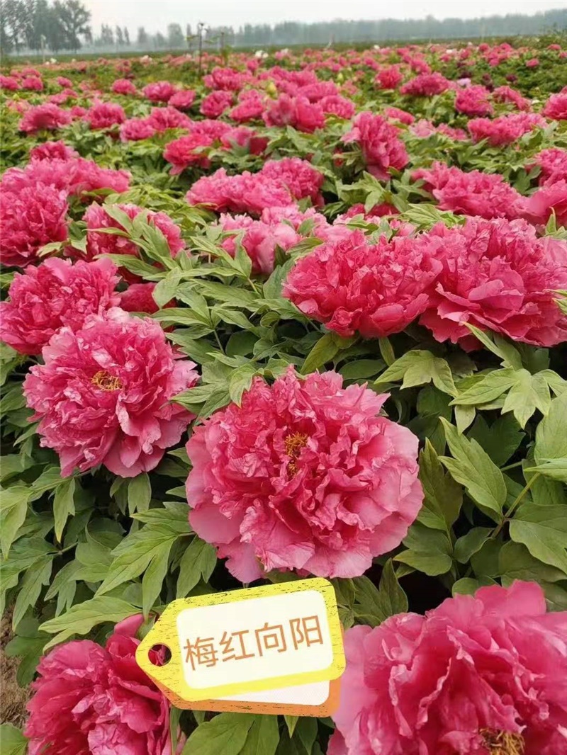 微信图片_20210922232104.JPG