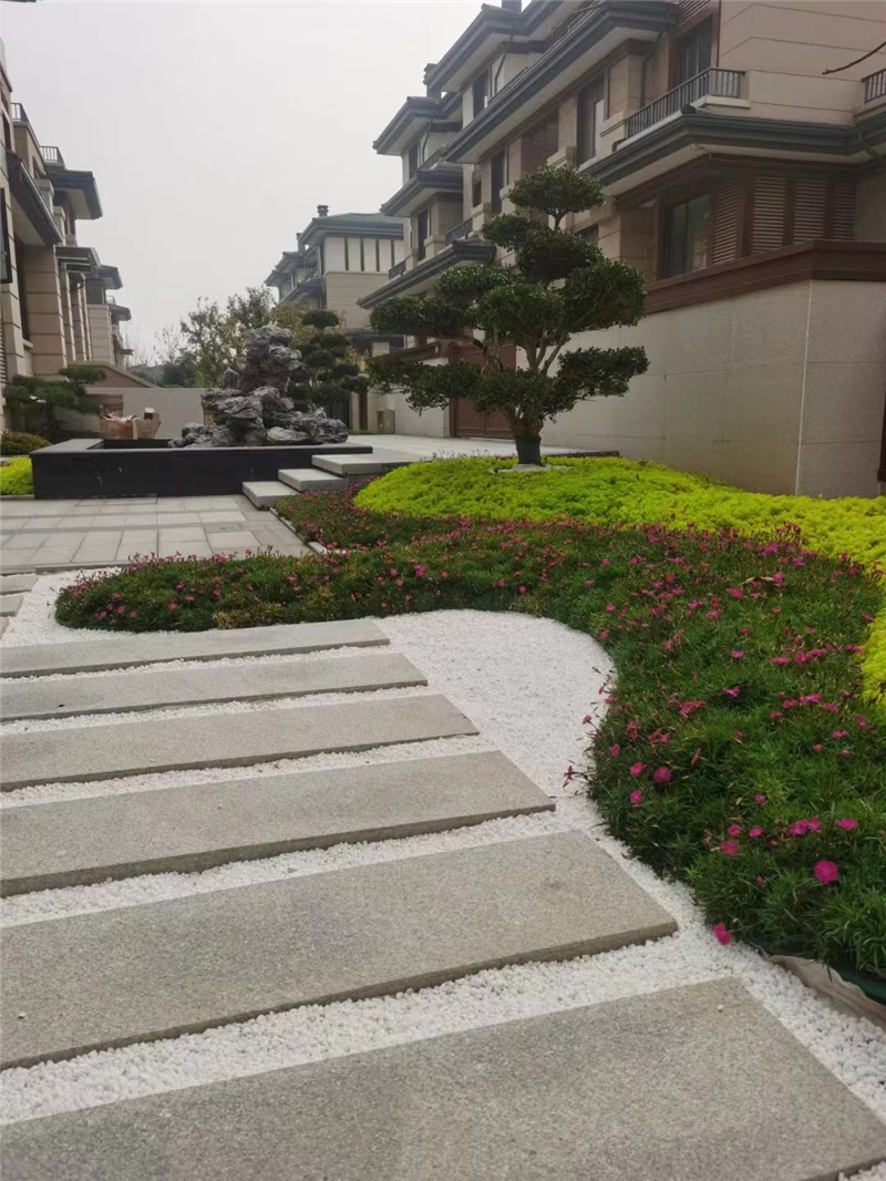 江苏丰县公园壹号小区园林绿化效果图