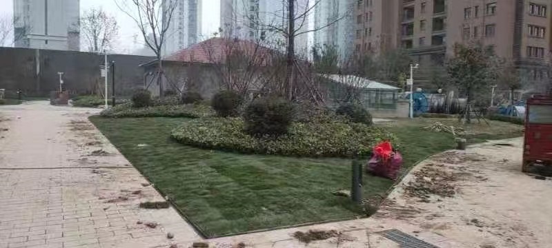 江苏丰县公园壹号小区园林绿化施工图
